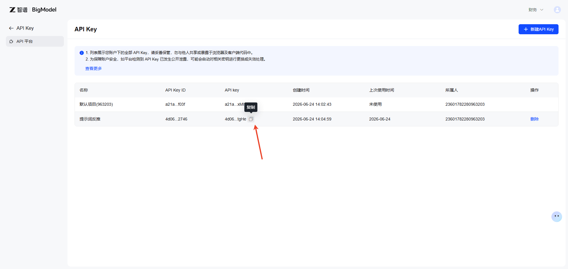 复制 API Key 截图
